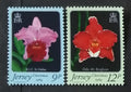 Jersey 1984 Vánoce a orchideje