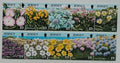 Jersey 1995 10€ Luční květiny a flora ostrova