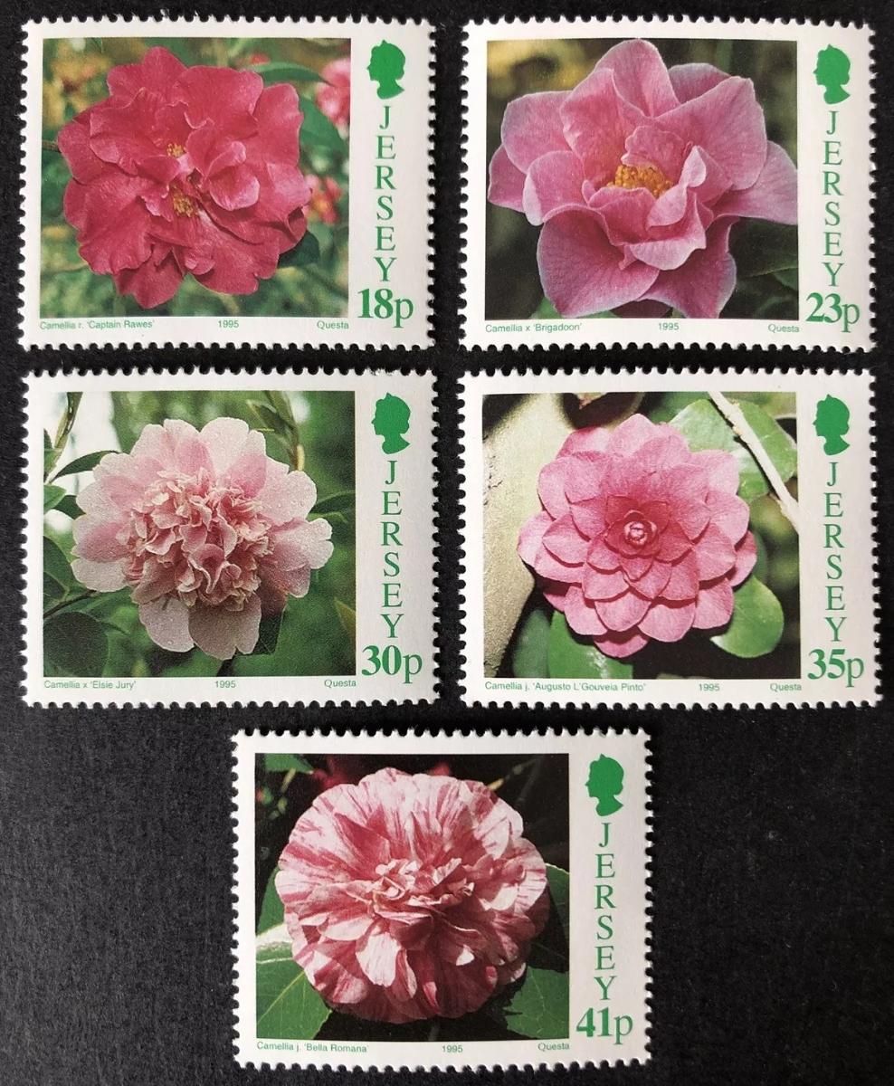 Jersey 1995 6€ Kongres pěstitelů kamélií - flora a květiny