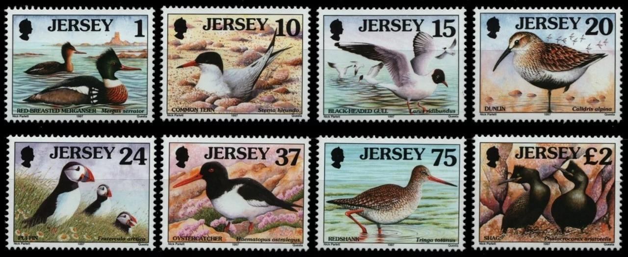 Jersey 1997 13,5€ Ročník definitivy - vodní ptáci ostrova, Fauna