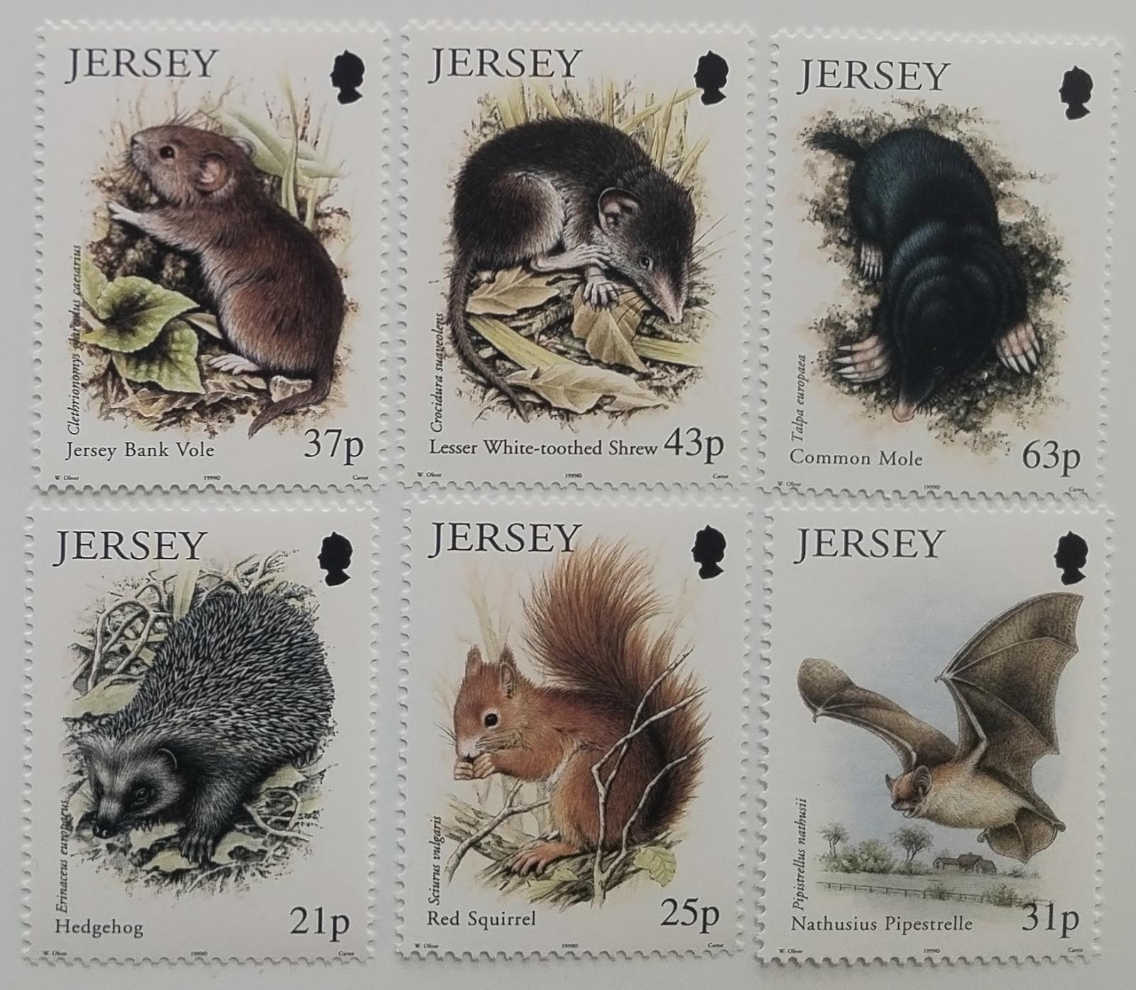 Jersey 1999 Fauna polí a zahrad, Netopýři a veverky