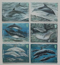 Jersey 2000 9€ Delfíni a mořská fauna ostrova, Ryby
