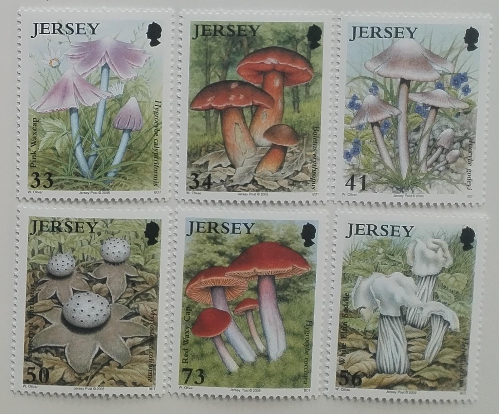 Jersey 2005 10€ Chraněné druhy flory - Houby a mykologie