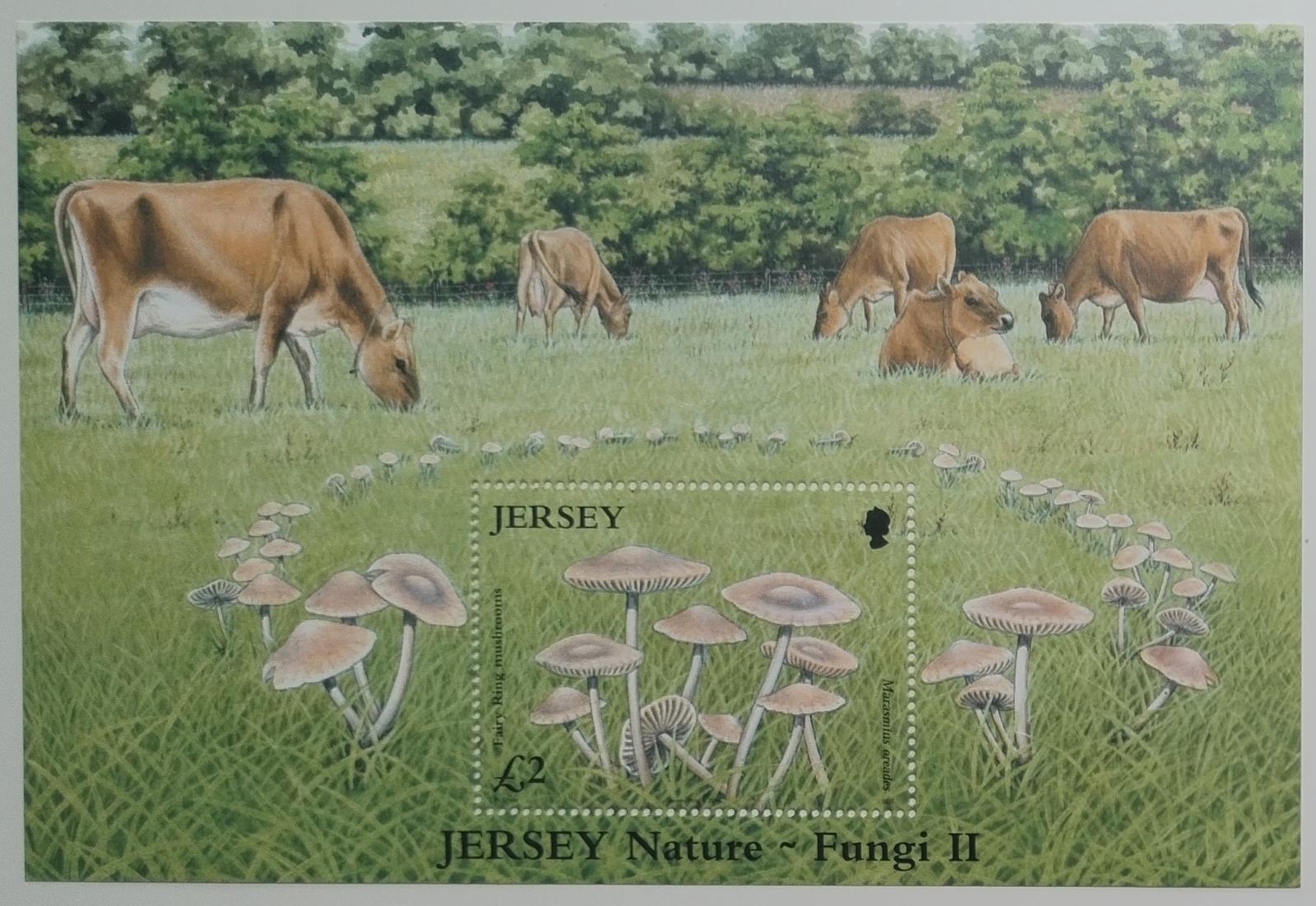 Jersey 2005 8€ Houby a flora ostrova, Krávy a fauna