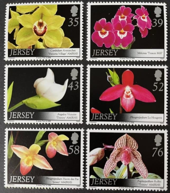 Jersey 2008 Orchideje a květiny ostrova, Flora