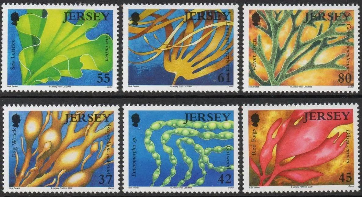 Jersey 2009 Mořské řasy a flora oceánů