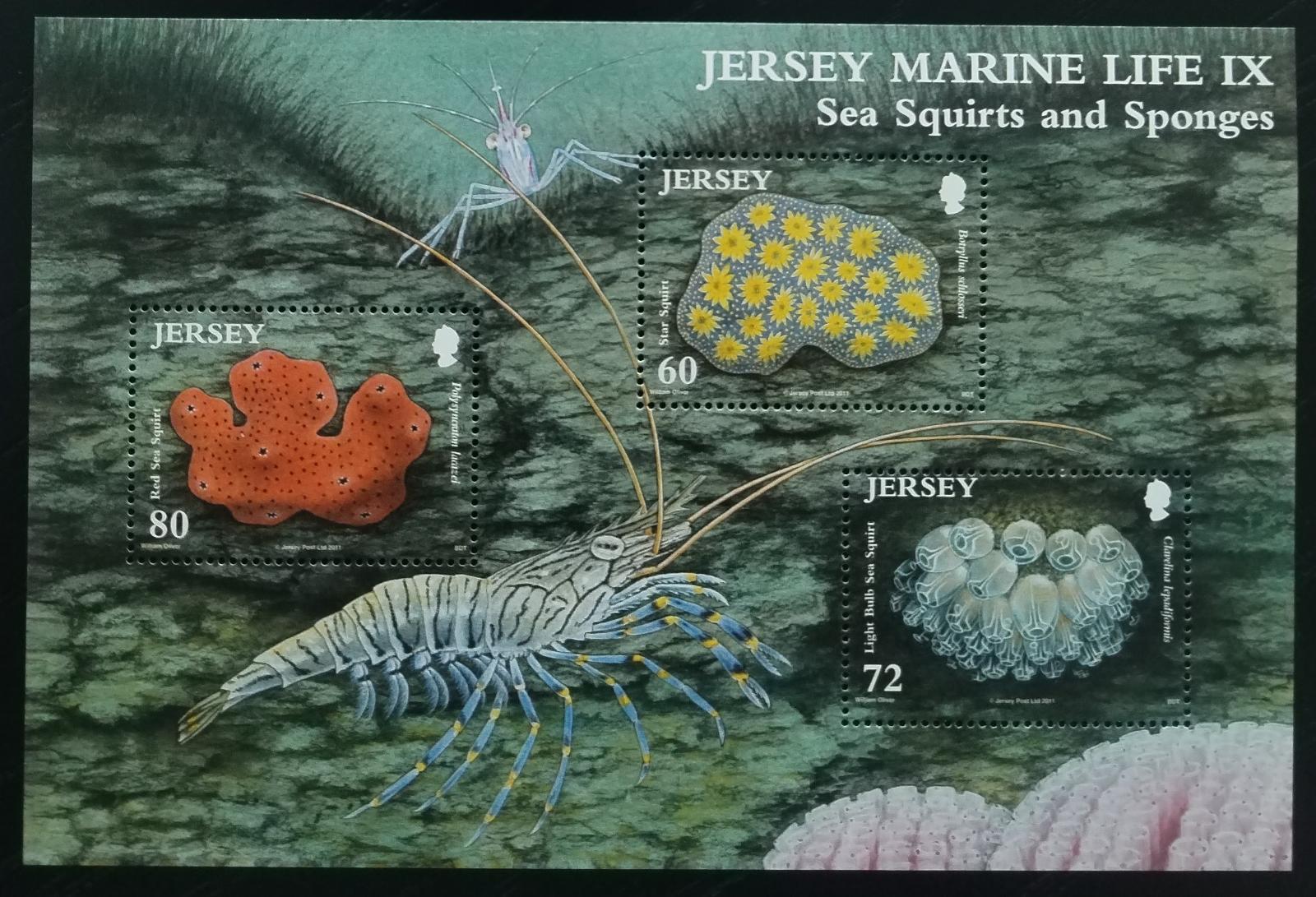 Jersey 2011 Korály a podmořská fauna, Flora