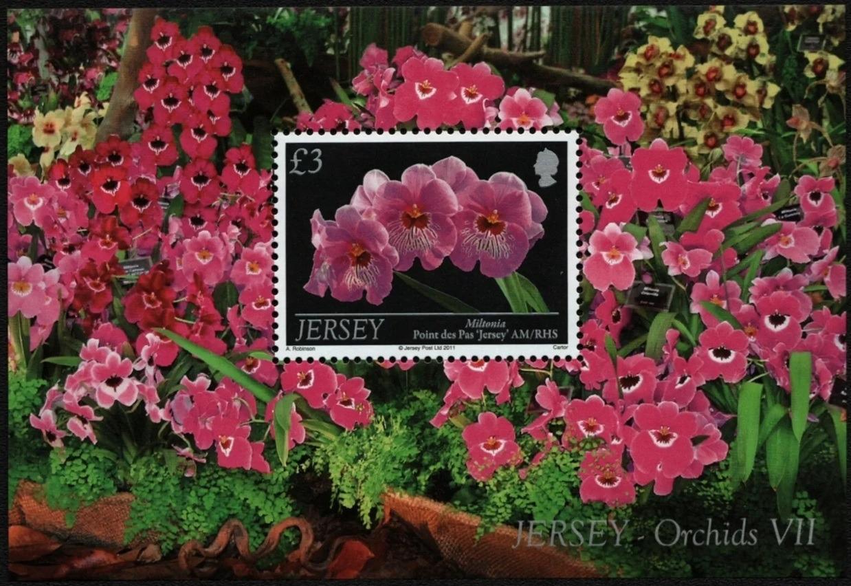 Jersey 2011 Orchideje a ostrovní květiny, Flora