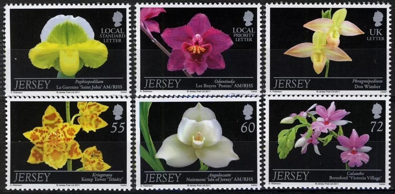 Jersey 2011 Orchideje a ostrovní květiny, Flora
