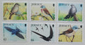 Jersey 2011 Stěhovaví ptáci na ostrově, Fauna