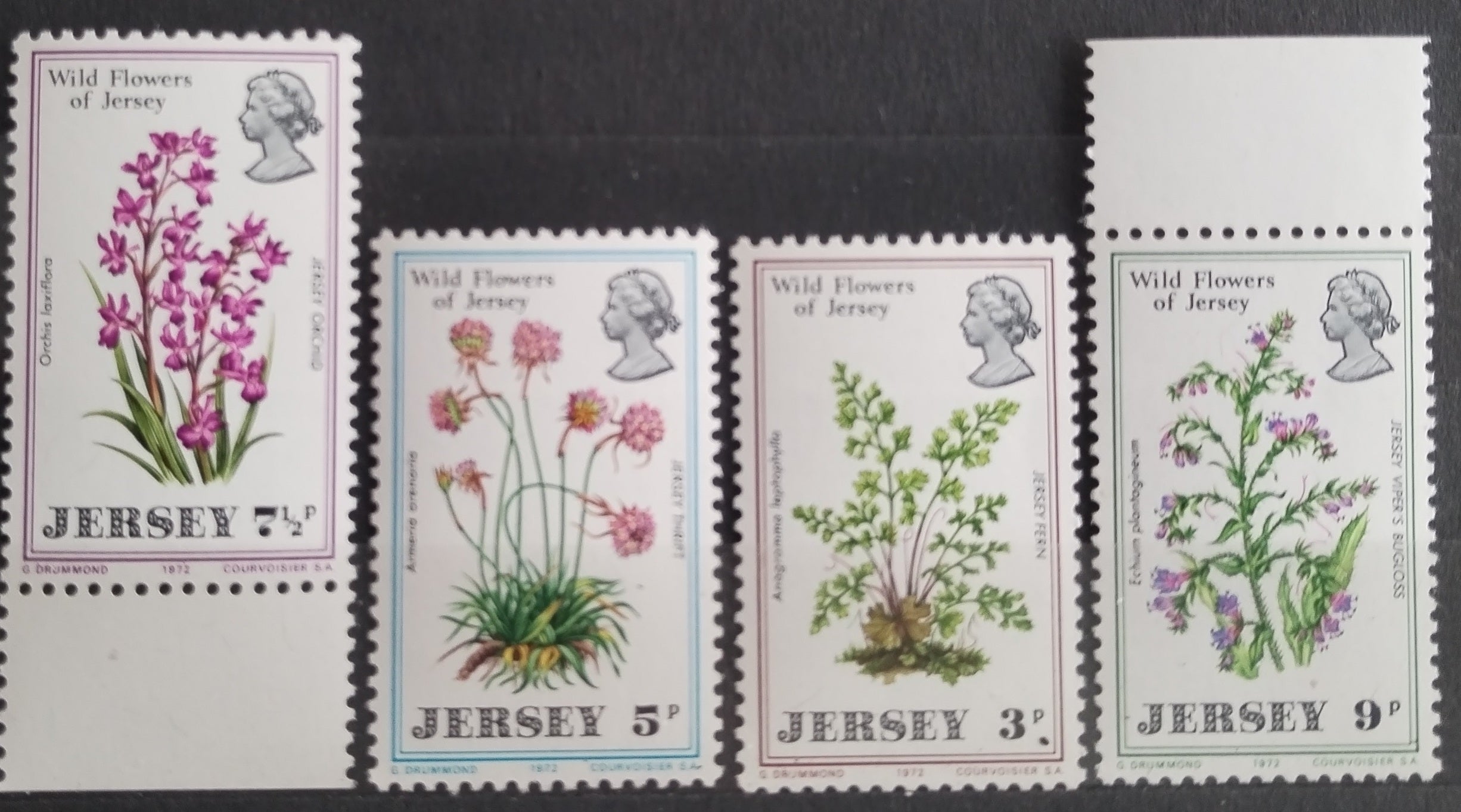 Jersey 1971 Květiny a flora