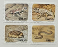 Jihozápadní Afrika 1978 Fauna pouště Namib