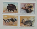 Jihozápadní Afrika 1985 Pštrosi a ptáci země