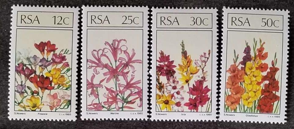 Jižní Afrika 1985 Africké květiny a flora
