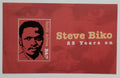 Jižní Afrika 2002 Steve Biko, bojovník za svobodu