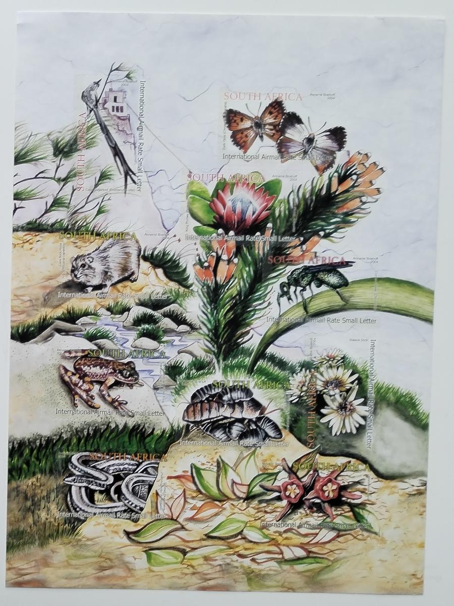 Jižní Afrika 2004 Fauna Stolových hor - Květiny a plazi, žáby, motýli