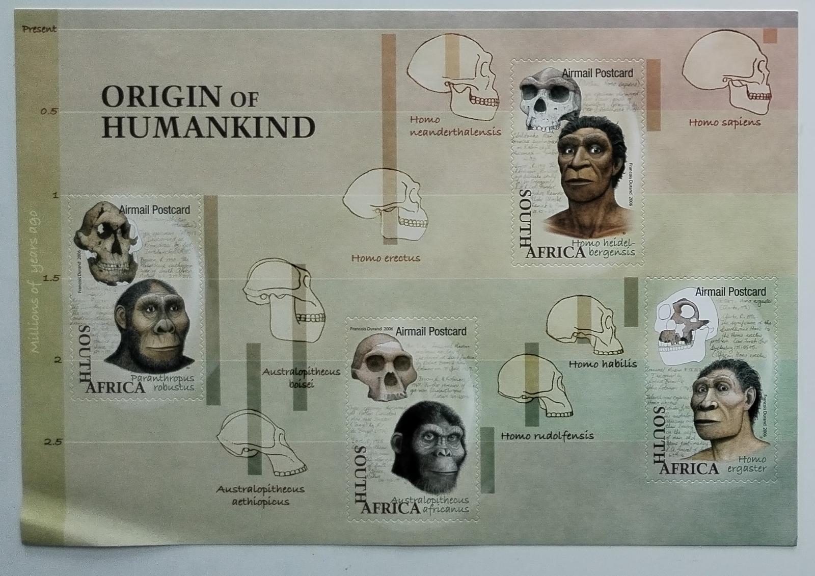 Jižní Afrika 2006 Předci člověka, lebky a pravěk