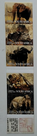 Jižní Afrika 2007 Velká pětka - Sloni, lvi, kočky a buvoli