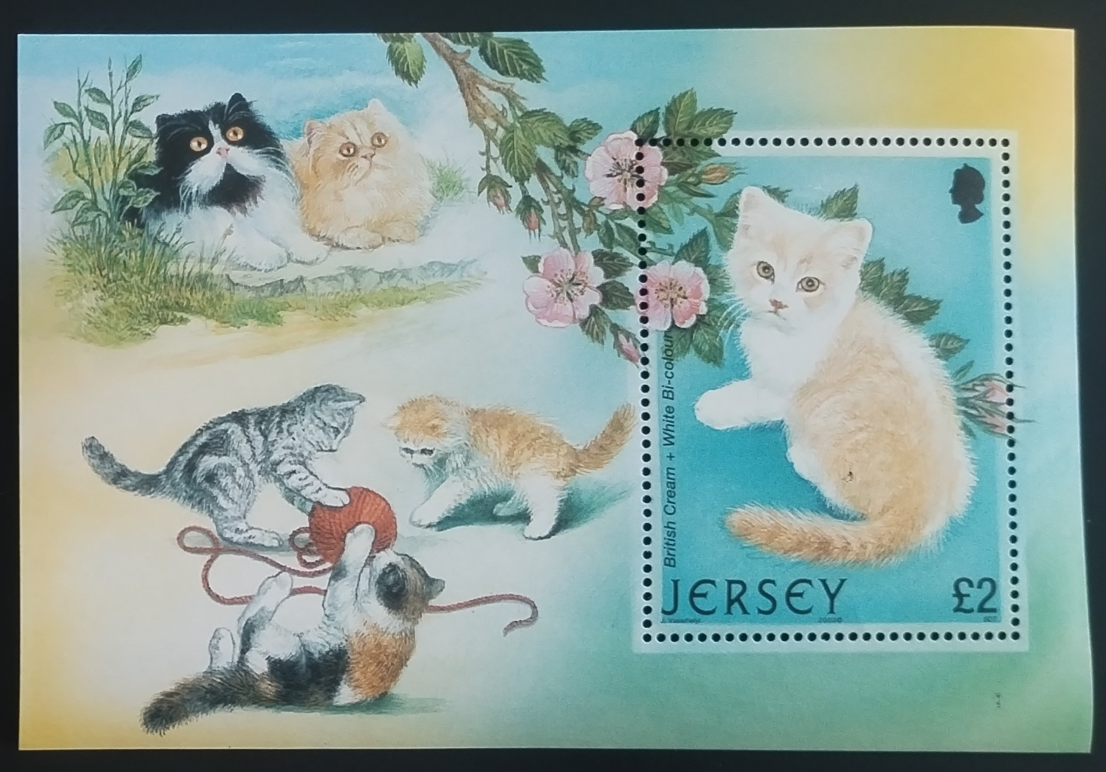 Jersey 2002 Kočky a domácí fauna