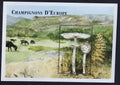 Komory 1999 Bl.395 8€ Evropské houby, Macrolepiota procera