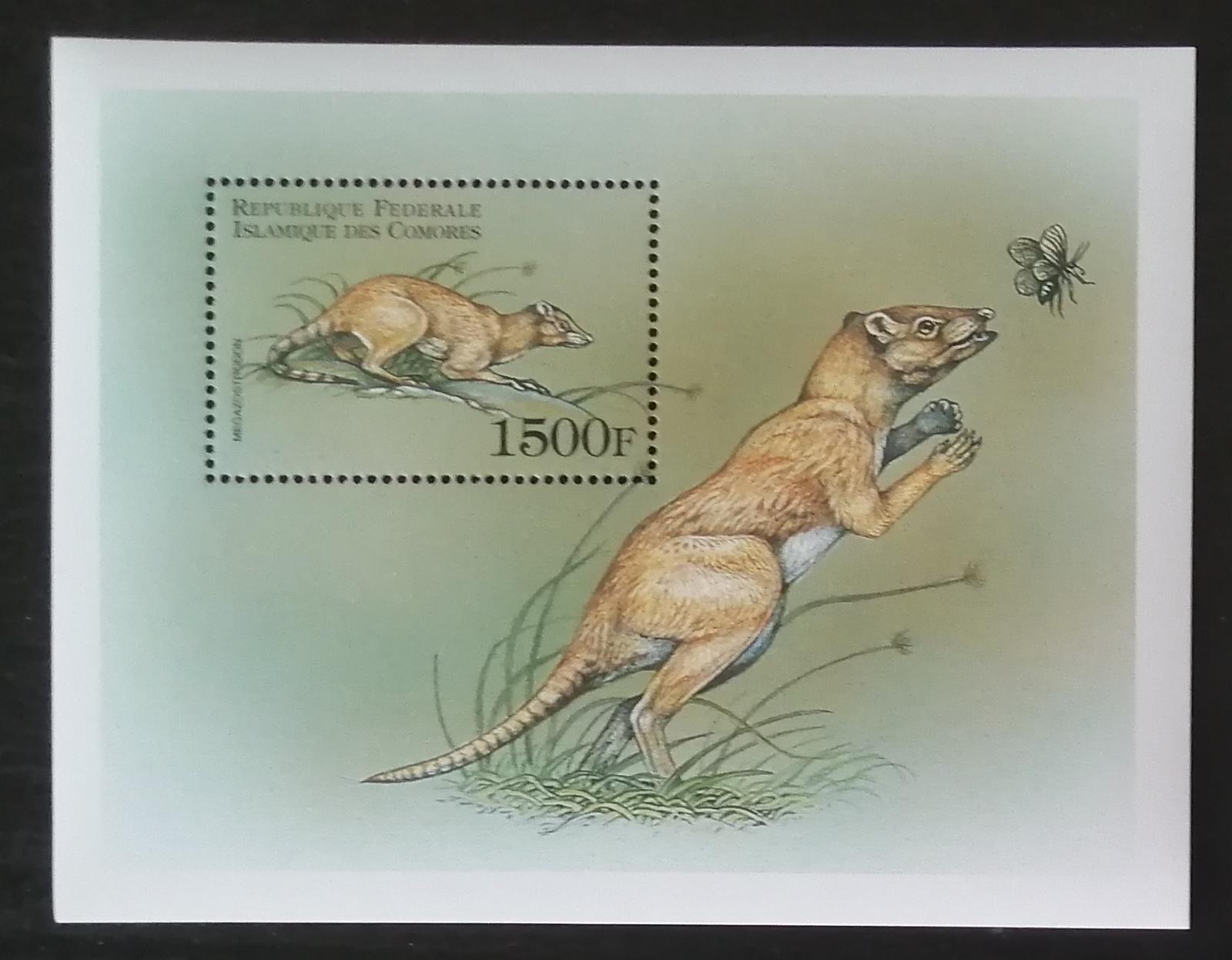 Komory 1999 Bl.406 8€ Pravěká fauna, Megazostodon