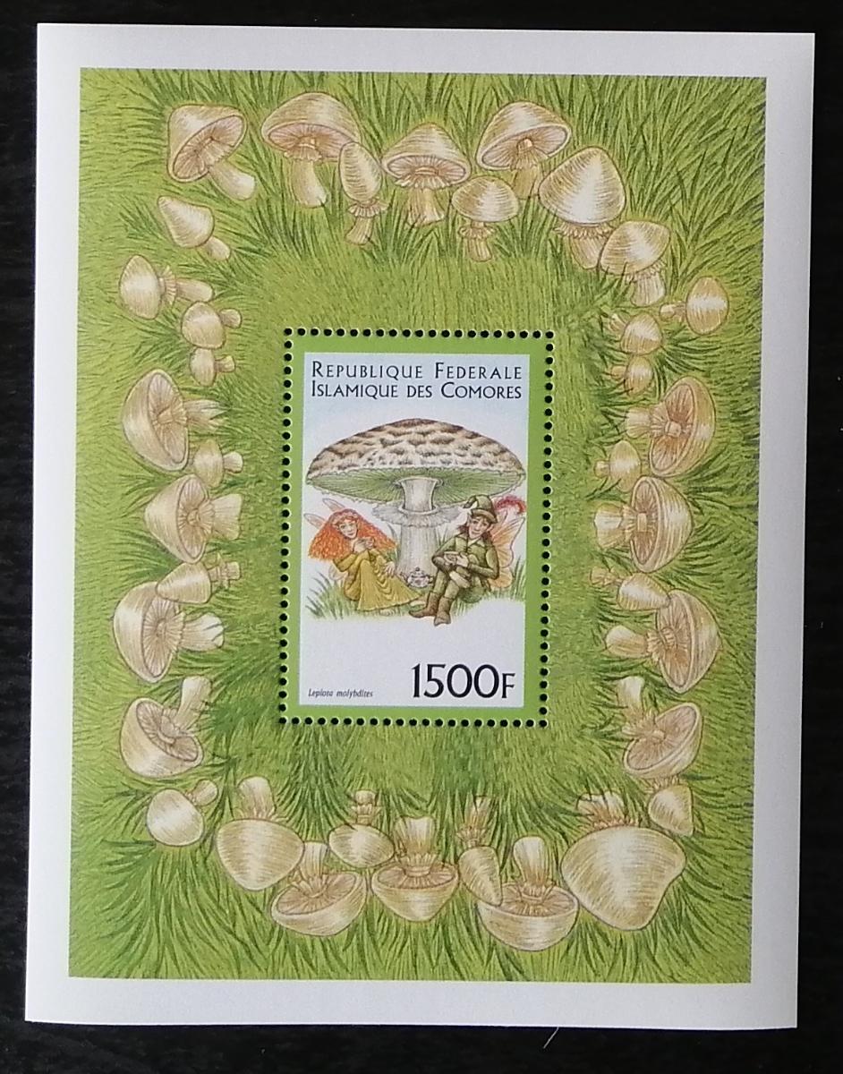 Komory 1999 Bl.419 8€ Nejedlé a jedovaté houby, Chlorophyllum molybdit