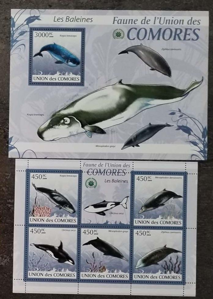 Komory 2009 25€ Velryby a ryby oceánů Afriky