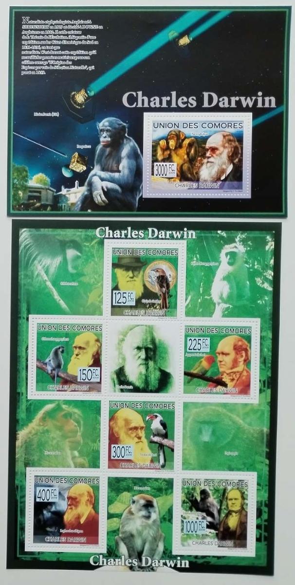 Komory 2009 26€ 200 let Charlese Darwina, Opice a šimpanzi