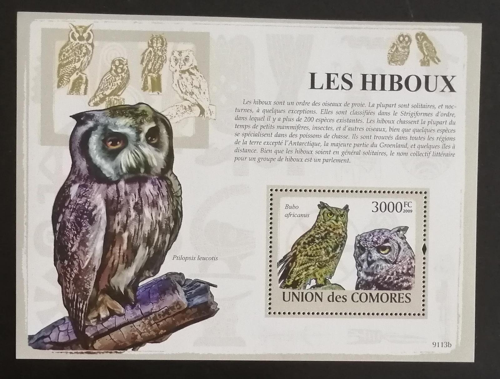 Komory 2009 Bl.485 15€ - Sovy, noční ptáci, fauna