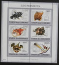 Komory 2009 Mi.2107-12 14€ - Africké mořské ryby, fauna