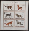 Komory 2009 Mi.2205-10 14€ - Domácí kočky a jejich druhy, fauna