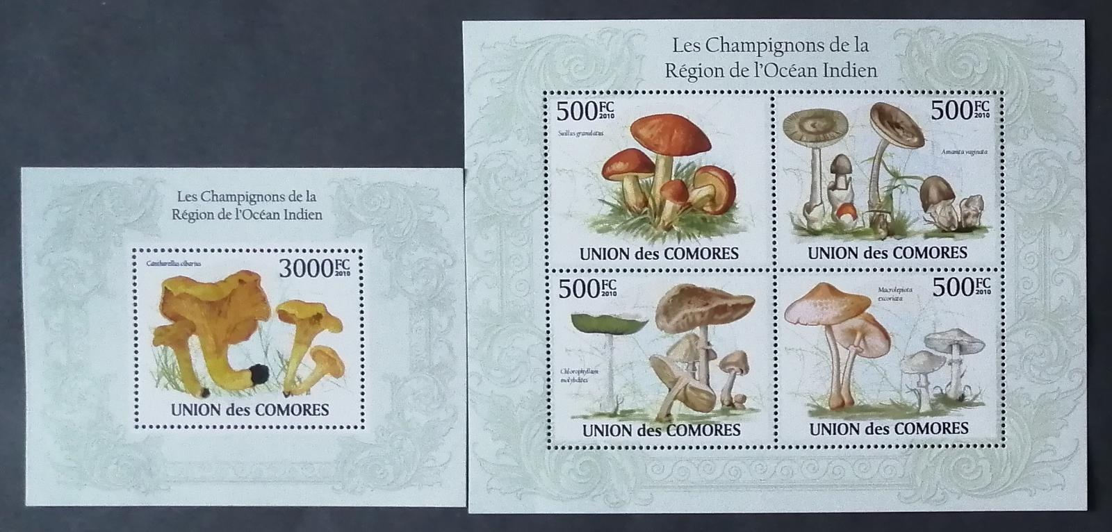 Komory 2010 24€ Houby a flora Indického oceánu