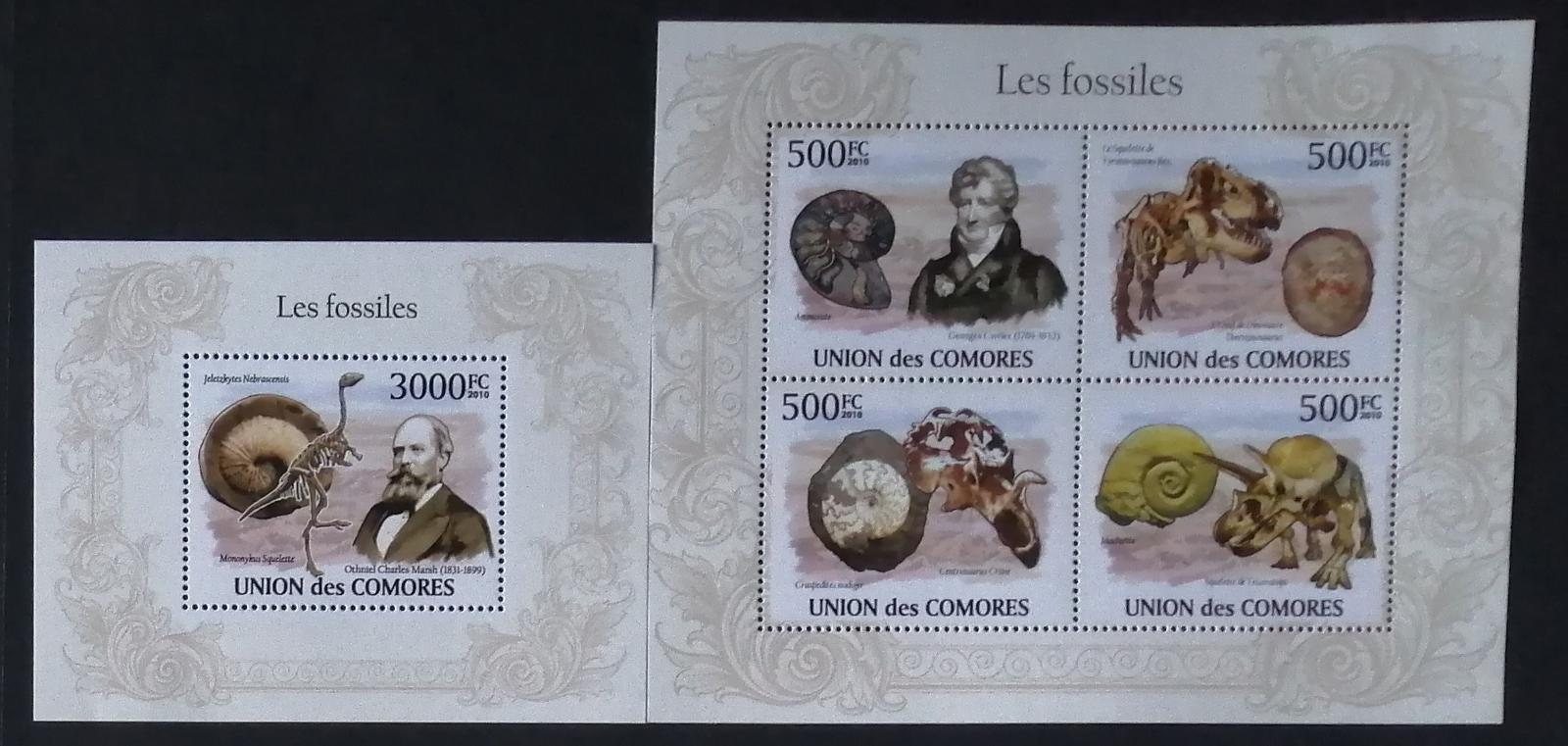 Komory 2010 24€ Paleontologové a dinosauři, fosílie