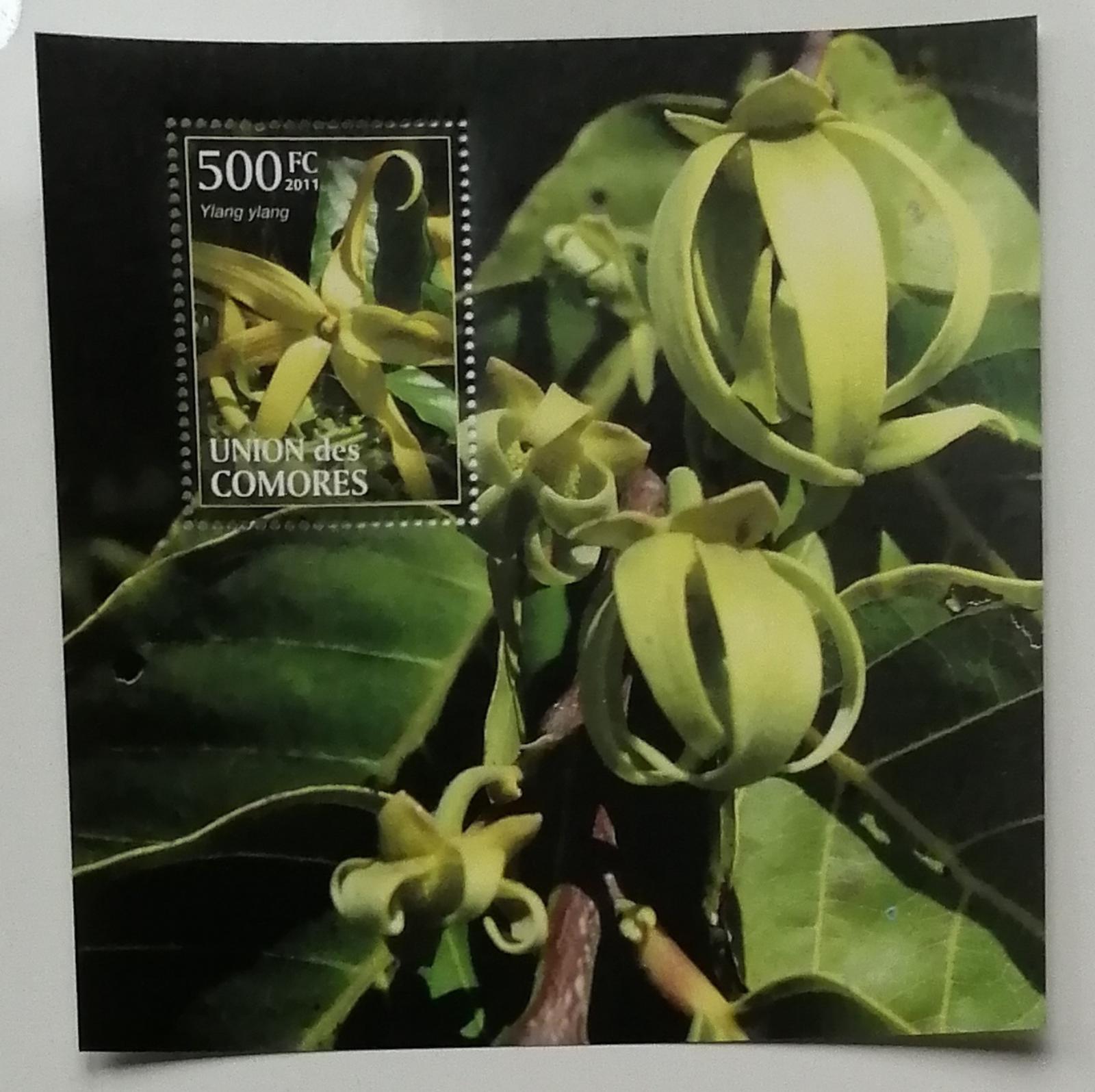 Komory 2011 2,5€ Africká flóra, Květy Ylang-Ylang, květiny