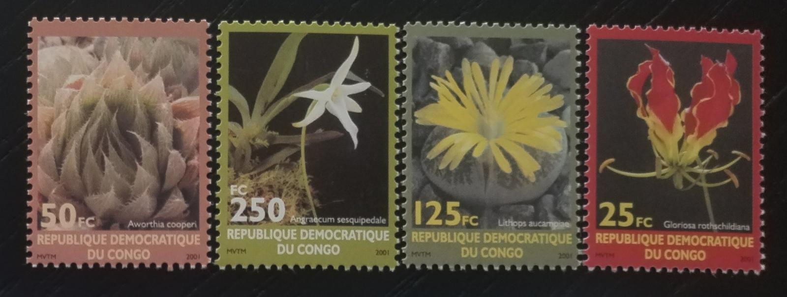Kongo 2002 Africké květiny a flora