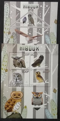 Kongo 2015 - Sovy a noční draví ptáci, lesní fauna