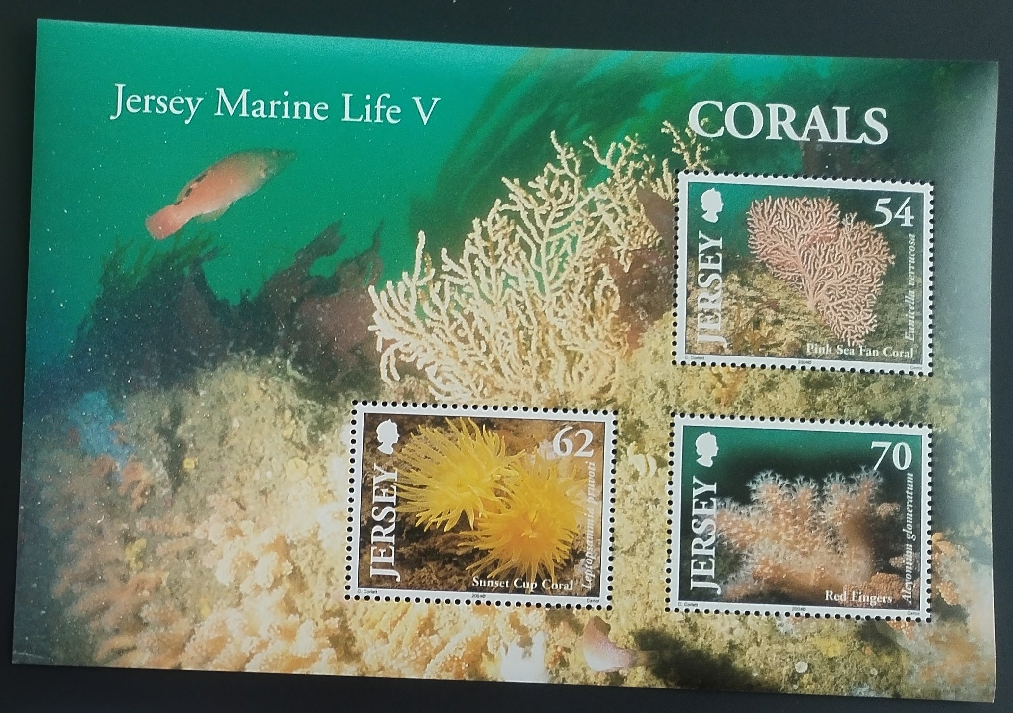 Jersey 2004 Korály a podmořská fauna, Flora