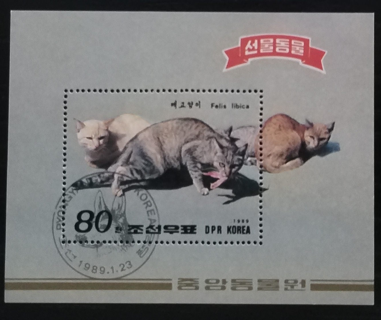 Severní Korea 1989 Kočky a fauna