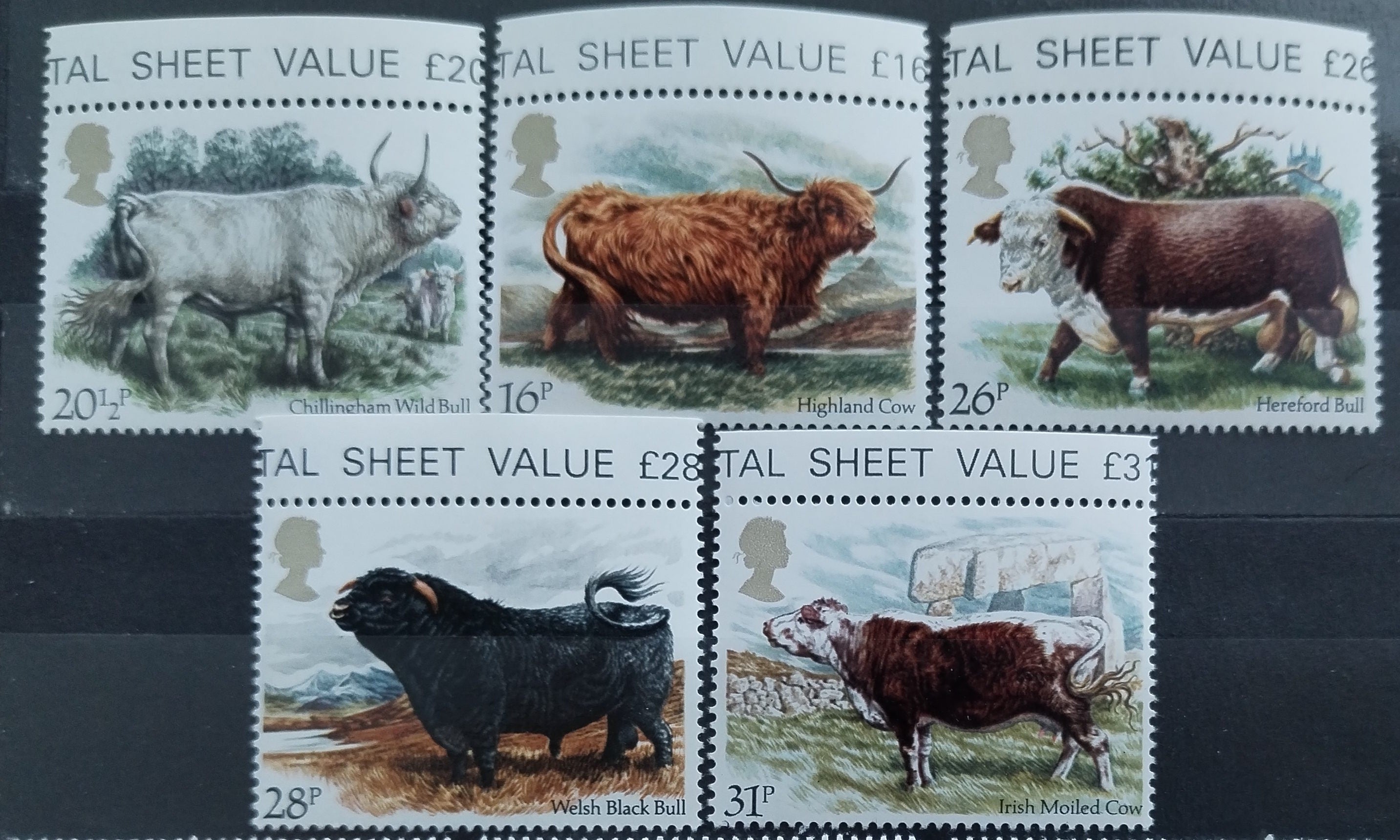 Velká Británie 1984 Krávy a dobytek