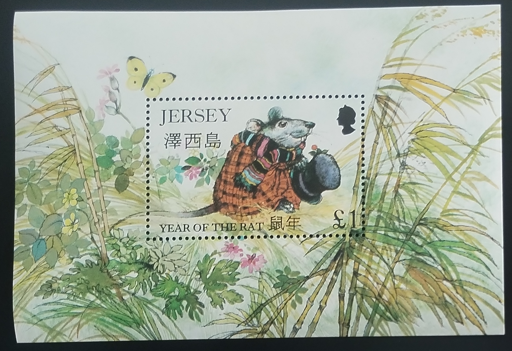 Jersey 1996 Čínský rok krysy