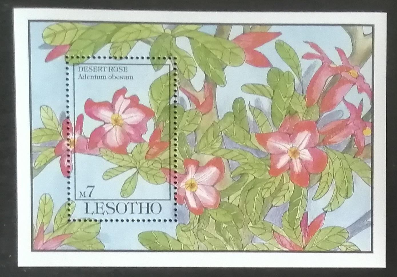 Lesotho 1993 Bl.100 7,5€ Květiny a flora Afriky, Adenium obesum