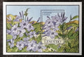Lesotho 1993 Bl.101 7,5€ Africké květiny a flora, Plumbago sp.