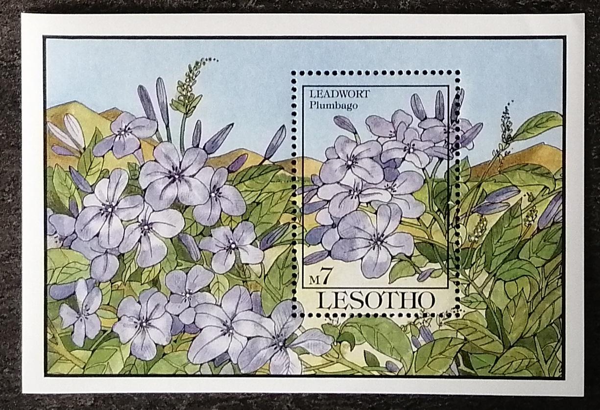 Lesotho 1993 Bl.101 7,5€ Africké květiny a flora, Plumbago sp.