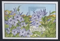 Lesotho 1993 Bl.101 7,5€ Domácí květiny a flora, Plumbago sp.