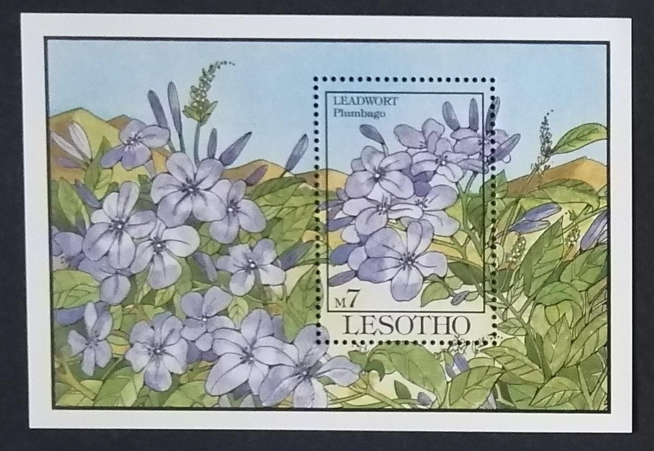 Lesotho 1993 Bl.101 7,5€ Domácí květiny a flora, Plumbago sp.