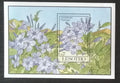 Lesotho 1993 Bl.101 7,5€ Květiny a flora Afriky, Plumbago auriculata