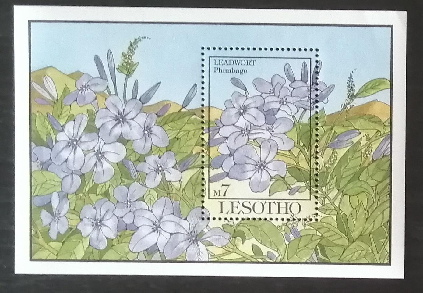 Lesotho 1993 Bl.101 7,5€ Květiny a flora Afriky, Plumbago auriculata