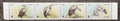 Lesotho 1998 Mi.1276-9 5,5€ WWF a národní fauna, Supi a ptáci