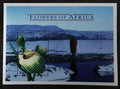 Lesotho 2000 Bl.167 5,5€ Africké květiny - Zantedeschia aethiopica