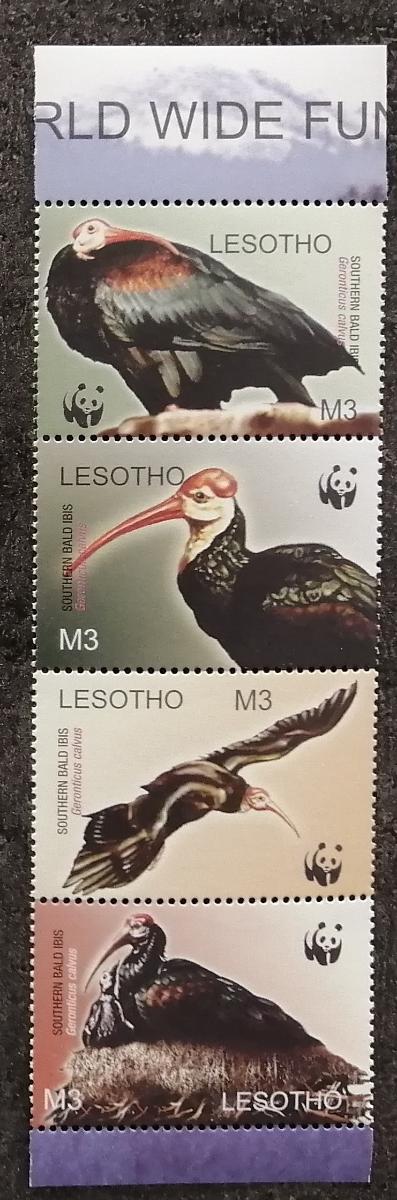Lesotho 2004 Mi.1895-0 4€ WWF a národní fauna, Ptáci